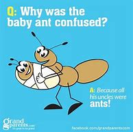 Image result for Fun Funny Jokes for Kids