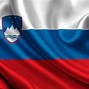 Image result for Slovenia Flag Cool