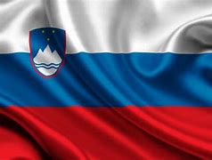 Image result for Slovenia Flag Cool