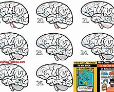 Image result for Brain Model Drawing