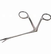 Image result for Stainless Steel Alligator Clamps