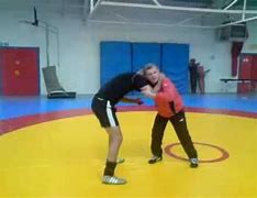 Image result for Different Types of Wrestling