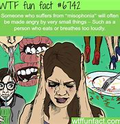 Image result for WTF Fun Facts Meme
