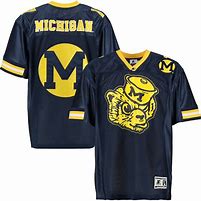 Image result for Michigan Wolverines Jersey