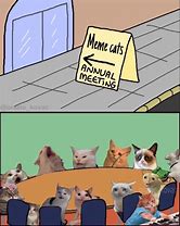 Image result for Cat Meeting Meme