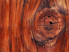 Image result for Wood Wallpaper for Walls