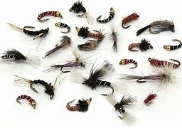 Image result for Hand Smshing Fly
