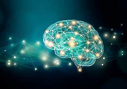 Image result for Brain Connectivity