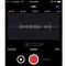 Image result for iPhone 13 FaceTime Mic Not Working