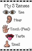 Image result for 5 Senses See Activities