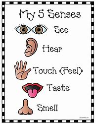 Image result for 5 Senses Template