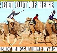 Image result for Double Hump Day Meme