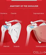 Image result for Over the Shoulder Phone View Drawing
