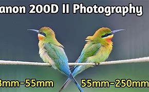 Image result for Canon 200D II Camera Capture Pics