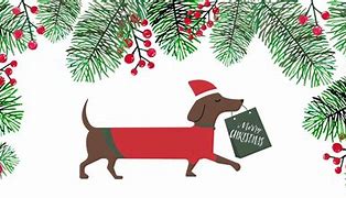 Image result for Happy New Year Dachshund