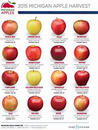 Image result for apples variety charts