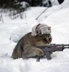 Image result for Russian Cat Meme