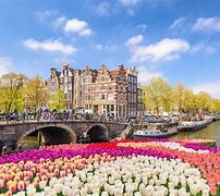 Image result for Amsterdam Europe