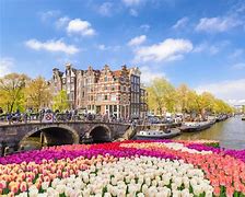 Image result for Amsterdam Netherlands Pics