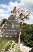 Image result for Tikal Howler