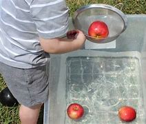 Image result for Apple Bobbing with Electric