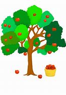 Image result for Red Apple Trees Stock Photo