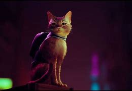 Image result for Stray PS5 Cat