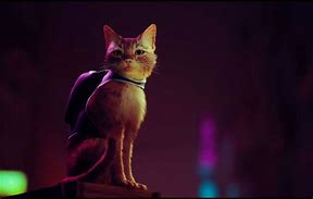 Image result for Stray PS5 Cat