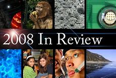 Image result for The Year 2008