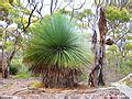 Image result for Kangaroo Island, Australia