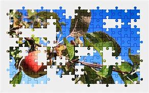Image result for Green Apple Jigsaw