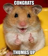 Image result for Congratulations Funny Animal
