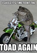 Image result for Toad Hat Meme