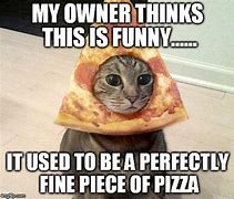Image result for Did Someone Say Pizza Cat Meme