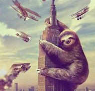 Image result for Sloth On a Comupter