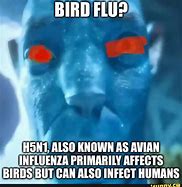 Image result for Bird Flu Avatar Meme
