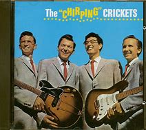 Image result for Chirping Crickets Album