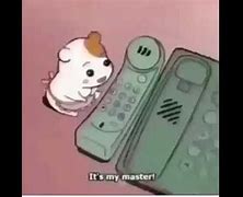 Image result for Hamster Phone Meme
