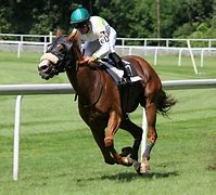 Image result for Race Horse Spectacular Bid