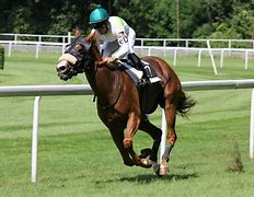 Image result for Trelawne Race Horse