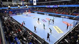 Image result for Team Handball Court
