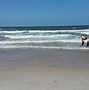 Image result for American Beach Amelia Island