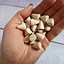 Image result for Small Wooden Cones