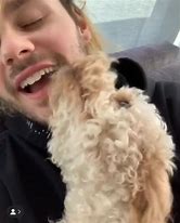 Image result for Michael Clifford Moose Dog