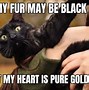 Image result for Scary Black Cat Meme