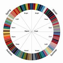 Image result for Designer Color Wheel