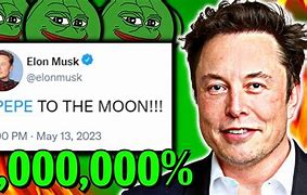 Image result for Elon Pepe