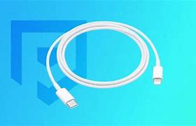 Image result for Apple Lightning Cable iPhone Charger