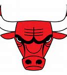 Image result for Chicago Bulls Banner