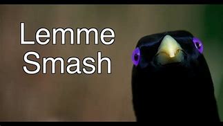 Image result for Lemme Smash Meme